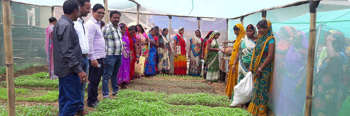 LEADING SUSTAINABLE FARMING WITH EDUCATING WOMEN IN FARMERS FIELD SCHOOL